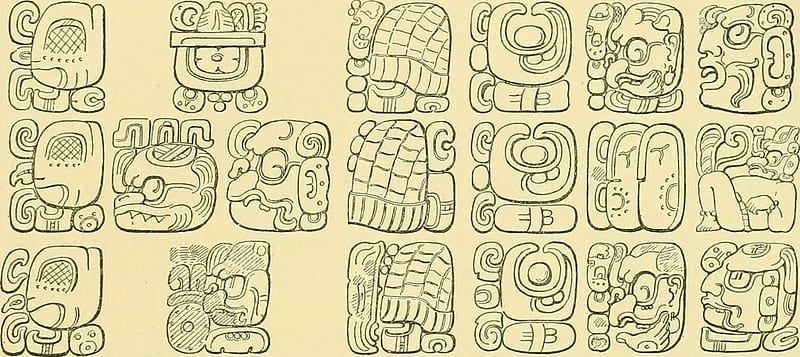 Glifos mayas. Imagen de Internet Archive Book Images en Flickr.