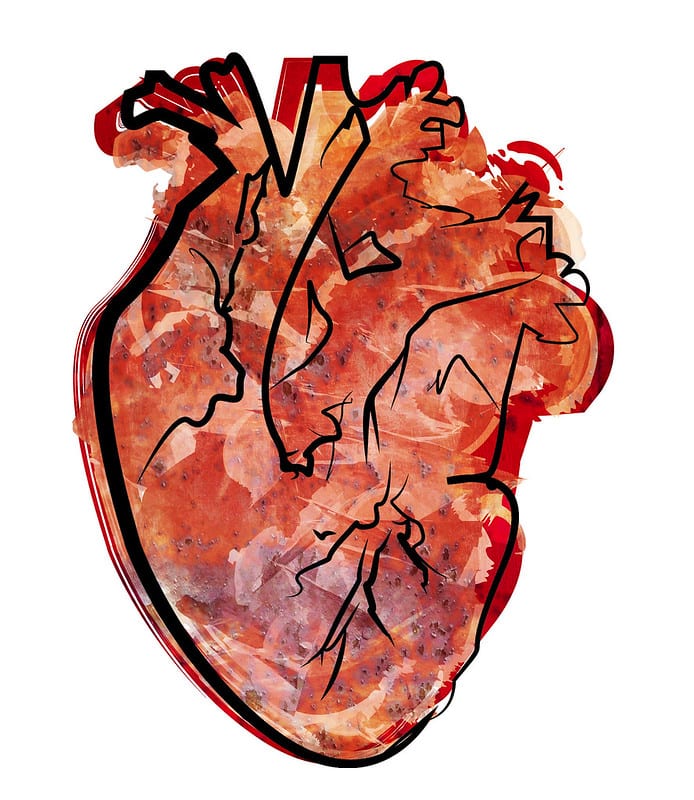 Corazón. Arte Digital de Códice Tuna Colectivo de Arte vía Flickr
